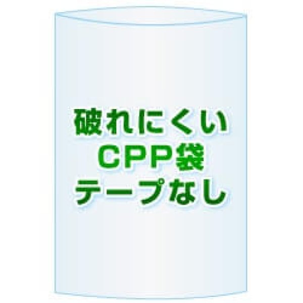 画像1: CPP(シーピーピー)袋(フタなし)【#50 230x370 1,500枚】 (1)