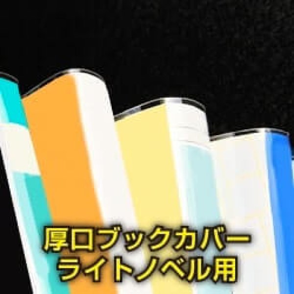 画像1: 透明ブックカバー ライトノベル用 厚口#40【100枚】 (1)