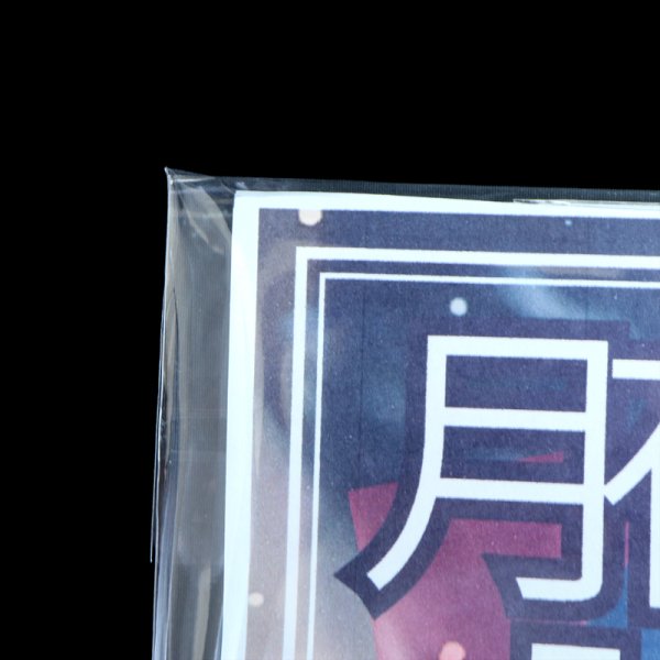 画像10: ブック展示用袋(OPP袋本体側開閉自在テープ付) B5版同人誌用 標準#30【100枚】 (10)