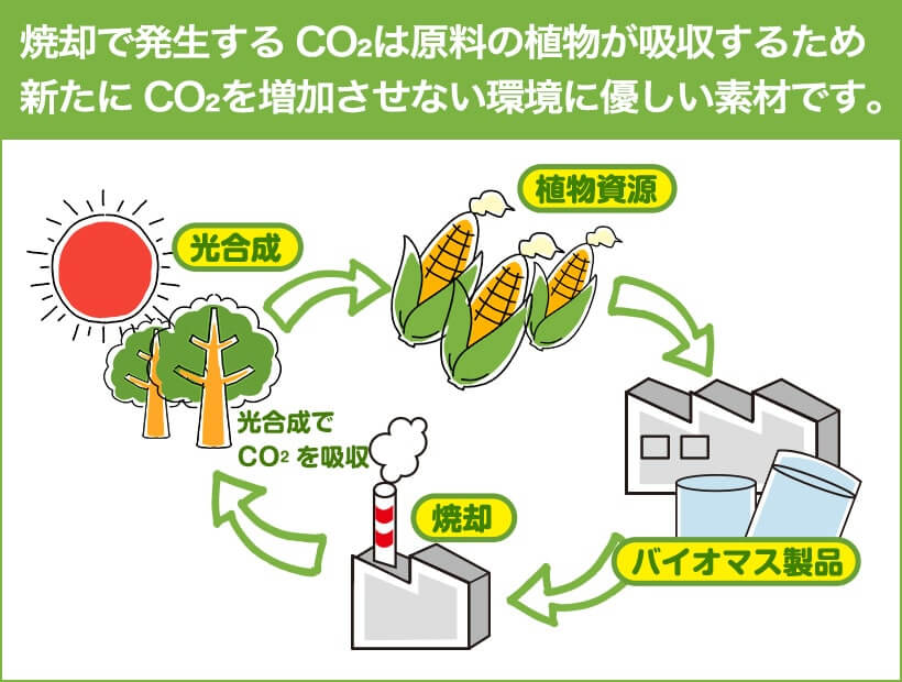 バイオマスCPP