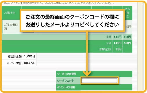 ご注文の最終画面のクーポンコードの欄にお送りしたメールよりコピペしてください