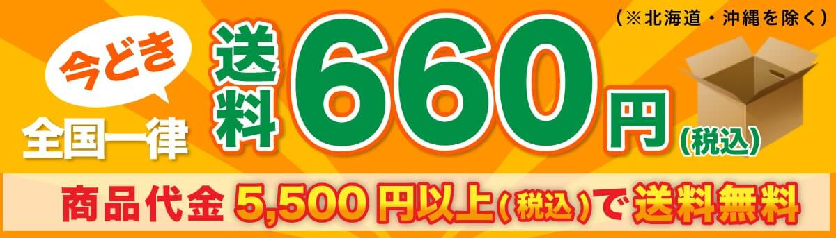 送料・お支払い